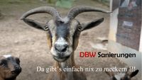 DBW Sanierungen